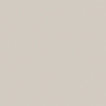 Компакт-плита Egger Светло-серый сплошной U