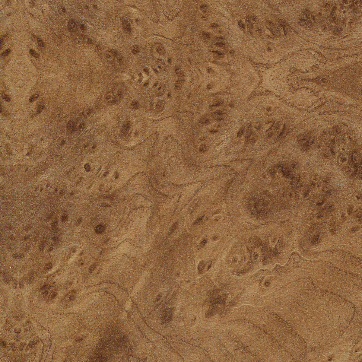 картинка Столешница СКИФ № 167 Корень вяза, 38 мм - СтокСклад